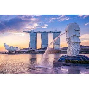 向外看，新加坡RFID产业化经验带来怎样的启示？